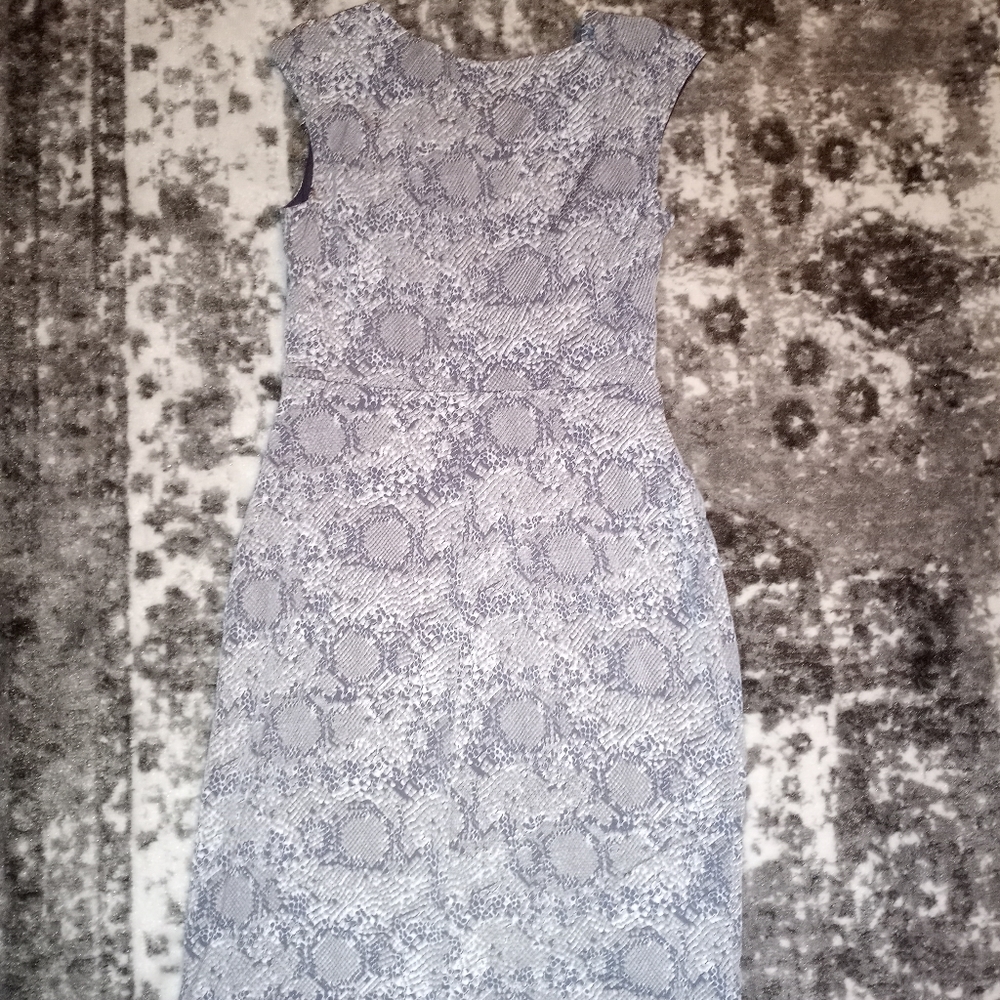Snakeskin dess